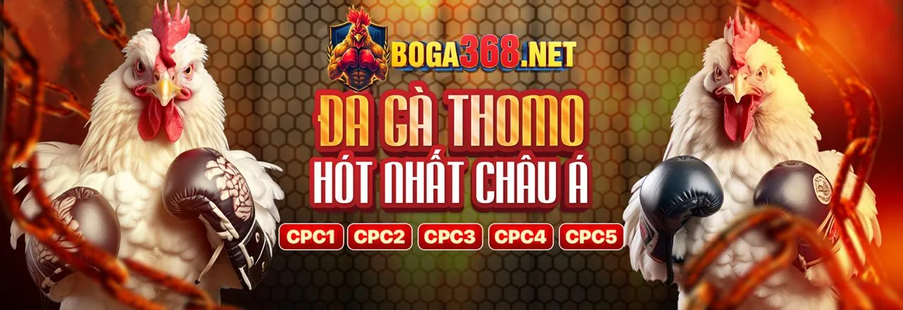 Đá Gà Trực Tuyến M88