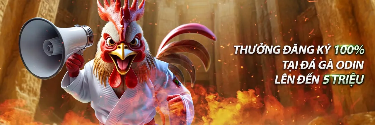 Ưu đãi nạp lại cho thành viên hiện tại M88