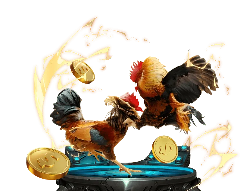 Tổng quan đá gà trực tuyến M88